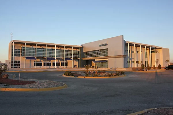 Universidad Tec Milenio