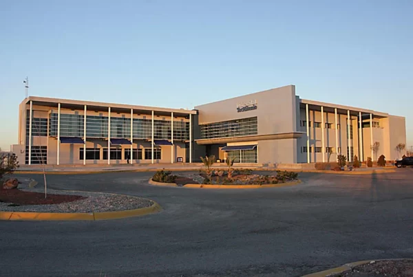 Universidad Tec Milenio